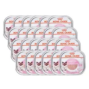 로얄캐닌 마더앤베이비캣캔 트레이 100g 24개