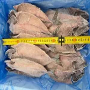 푸른바다 고갈비 중 1미 250g /300g  10미 [2.75/3kg]