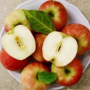 껍질째 먹는 미니사과 천홍 2kg