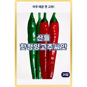 산들 핫청양 고추 씨앗 25립 아주 매운 중생종 고추씨 종자