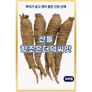 산들 향조은 더덕 씨앗 600립 뿌리 굵고 건강에 좋은 한방 약재 더덕씨 종자
