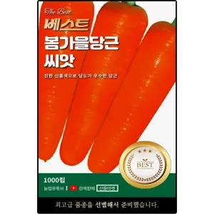 베스트 봄가을 당근 씨앗 1000립 당도 우수한 당근씨 종자