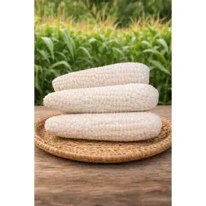 더달달 산지직송 강원도 냉동 백찰옥수수