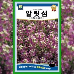 [파머씨드]알릿섬 드워프핑크 씨앗 100립 알리섬 야생화 화단 정원