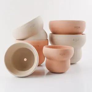 갑조네 앙비까사 구름 토분(12/15호)