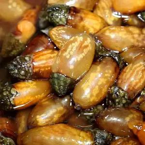 생 활 미더덕 1kg