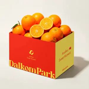 고당도 블랙라벨 오렌지 특대과 7kg 내외 22-24개입