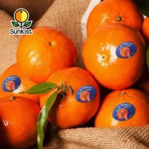 프리미엄 캘리포니아 만다린 5kg(45~75개)