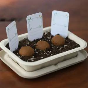 씨드볼 만들기 씨앗볼 씨앗폭탄 씨드밤 원예 재배 체험 가드닝