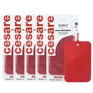 아트박스/미스터앤미세스 체사레 카드형 멀티 방향제 5개 세트
