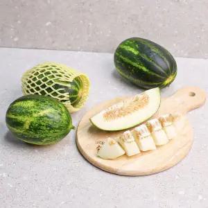 [장수상회][오늘신선] 경북 고령 성산면 제철과일 메론 파파야 멜론 3kg 4-8과 내외