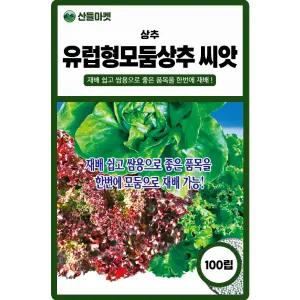 유럽형 모둠상추 씨앗 100립 펠렛형 바타비아 쌈채소 상추씨 종자