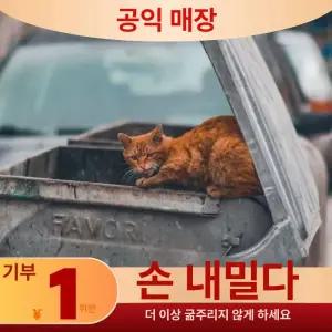 강아지 고양이 위생팬티 애완매너벨트 속옷 기저귀