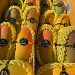 태국산 마하차녹 무지개망고 5kg 고당도 후숙과일