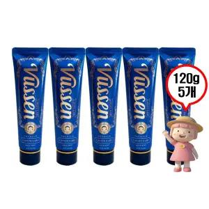 뷰센 치약 120g 5개 고불소 구취케어 대용량 치약