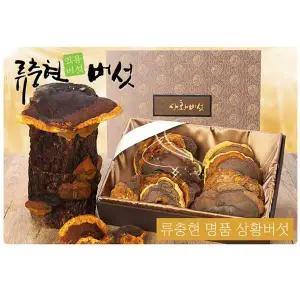국내산 L9U4T7G6 약용 상황버섯(초특급 천상위품) 1kg 선물세트