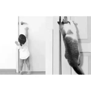 이든앤저스티스 이중 잠금장치 방문손잡이