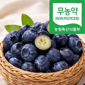 호태아빠 맛보장 국산 무농약 블루베리 생과 100g (상) 4팩