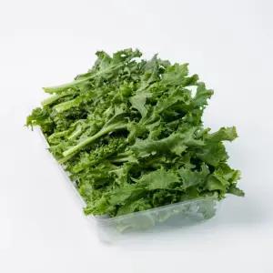 하나의팜 국내산 치커리 1kg 샐러드 채소 쌈채소