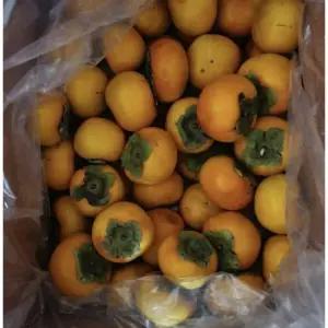 못난이단감10KG(랜덤과)마지막물량 부여단감 태추 진영 혼합  감 대봉