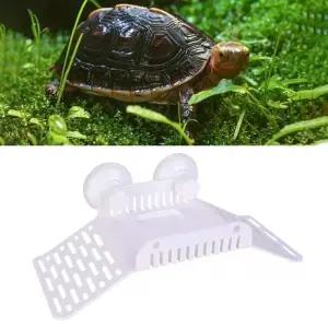 양방향 거북이 육지 쉼터 육지 키우기 은신처 수족관