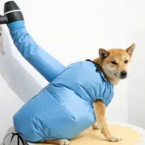 펫 드라이 건조복 OSM-1005834