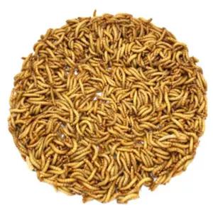 극소 밀웜 청개구리 전갈 거미 초소형 먹이 1cm 미만 살아있는 밀웜