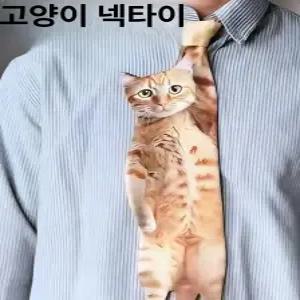 특이한 코믹 리얼 남자 파티 고양이 넥타이 수동 소품 그레이 그레이캣 헤어라인