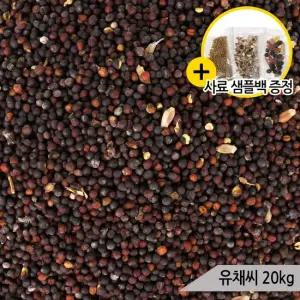 건강알곡 유채씨 15kg 앵무새 햄스터 모이 간식 사료