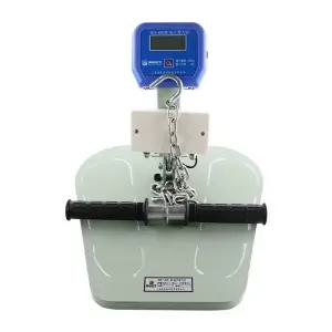 허리 배 근력 측정기 배압근 시험 헬스 입시 체대