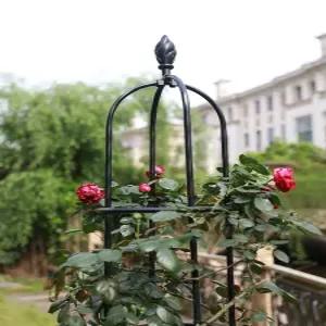 장미 넝쿨 아치 덩굴 펜스 클레마티스 엔틱 울타리