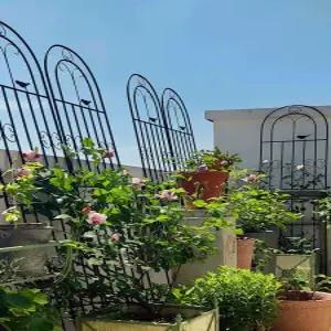 오벨리스크 블랙 120 높이 가든 식물 정원 장미 넝쿨지지대 철제 장미펜스