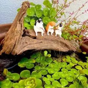 미니어처 고양이 장식 어항 꾸미기 수족관 물고기키우기 어항용품 물고기어항 수초항