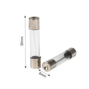 6X30 250V 10A 250V10A 고속 블로우 유리 퓨즈 6mm x 30mm 10개/몫