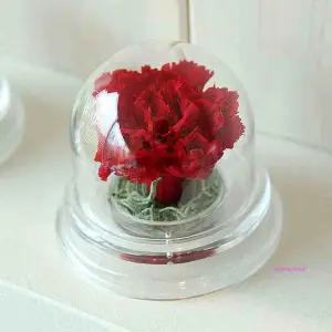 더봄 돔 아크릴 레드 카네이션 카네이션돔def638
