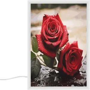 페키루트 레드 로즈 플라워 베니티 미러 LED 라이트 3가지 색상 모드 메이크업 침실 욕실용 아크릴 장식