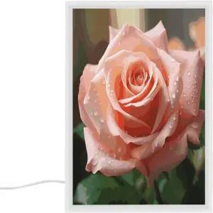 페키루트 로즈 플라워 핑크 배니티 미러 LED 라이트 3가지 색상 모드 메이크업 침실 욕실용 아크릴 장식