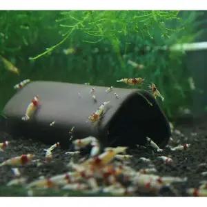 [콩심팥심]어항장식 수족관 새우 프리즘 은신처 물고기사육 수조세라믹