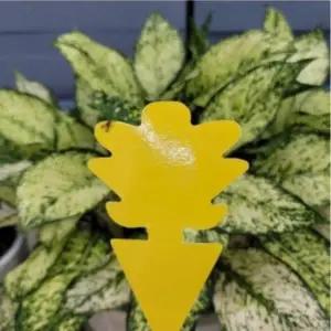 랜덤1장 꽂는 벌레 끈끈이 날파리 벌레 트랩 화분 초