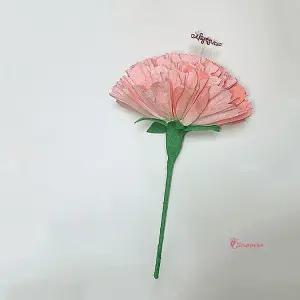 대왕카네이션 자이언트 어버이날 국산 플라워 대형 스승의날yza480