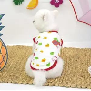 [JED] 코코앤샤샤 화이트 레몬티셔츠