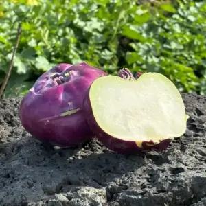 제주 특품 콜라비