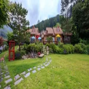 [강원] 홍천밸리애견동반(강원펜션/홍천펜션)