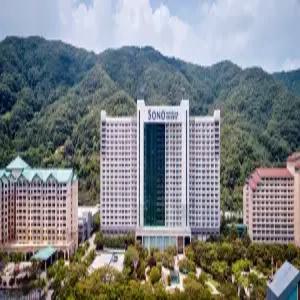 [강원] 소노벨 비발디파크 B.C(강원호텔/홍천호텔/홍천소노벨 비발디파크 B.C)