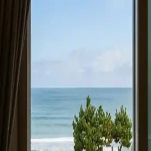 [강원] 양양 해뜨는창문 애견동반 오션뷰 펜션(강원펜션/양양펜션)