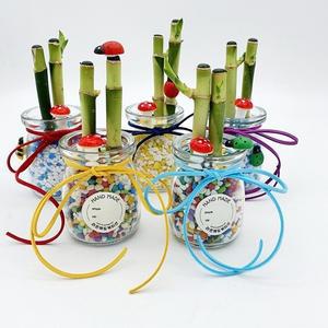 [라온에듀케이션]수경재배식물(개운죽)푸딩병1인