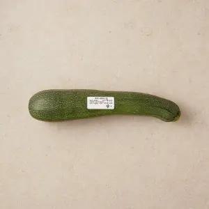 쥬키니 호박 (개)