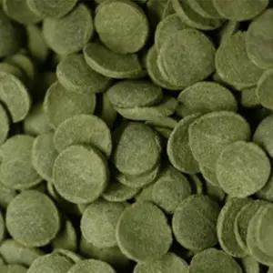 1리터 열대어 안시먹이 코리 플레코 사료 물고기밥