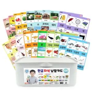 자석나라 한글 자석 낱말카드 240pcs