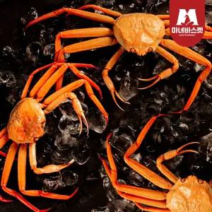 제철별미 통통한 다릿살 수율 좋은 (생물) 박달 홍게 (중) 3kg (8-9미 내외)